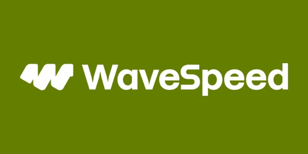WaveSpeed AI